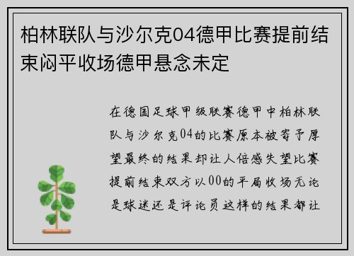 柏林联队与沙尔克04德甲比赛提前结束闷平收场德甲悬念未定